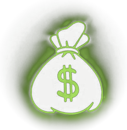 Bolsa de dinero